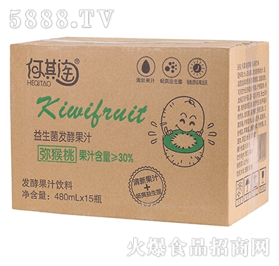 �������������l(f��)�ͫJ����֭480mlx15