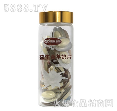 ꖴ���������������Ƭ