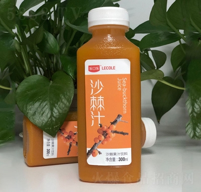 ���ژ���֭�������ɳ��֭300ml