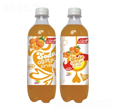 ��ˮ�������K�����ˮ��ζ480ml