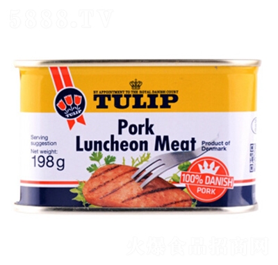 ����ԭ�b�M���������������^198g���b��������δ�n�����