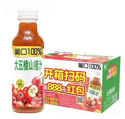 �Ͽ�100%������ɽ�֭500ml