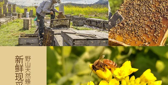 ������䌍(sh��)�I(y��)���޹�˾-�����Sԭ���B(t��i)���r(n��ng)ֱ����������_09