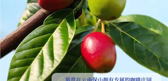 �V��Ľ�pʳƷ�Ƽ����޹�˾-�ڿ���_11