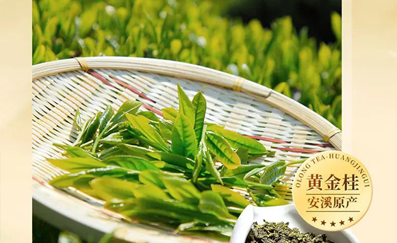 �V��Ľ�pʳƷ�Ƽ����޹�˾--�a(ch��n)Ʒ��(hu��)��(c��)3_05